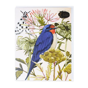 Moth Beetle Bird Card By Briana Corr Scott
