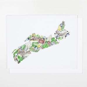 Nova Scotia Crab Shoreline Card By Sarah Duggan Creative